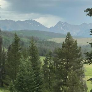 Meet your Posher, Shayne